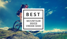 Best mountain bike under $300